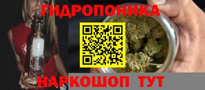 амф Рыбинск