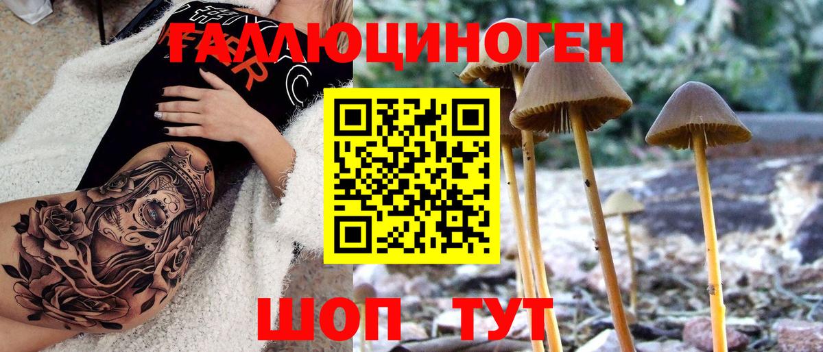 Сосновоборск  магазин  наркотиков  Вход с VPN  Галлюциногенные грибы MAGIC MUSHROOMS 